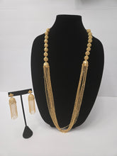 Load image into Gallery viewer, Long Necklace and Earring
