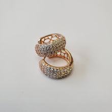 Load image into Gallery viewer, 18K GOLD PLATED HOOP EARRINGS