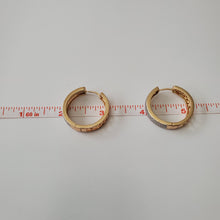 Load image into Gallery viewer, 18K BRAZILIAN GOLD PLATED CZ HOOP EARRINGS