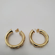 Load image into Gallery viewer, 18K GOLD PLATED CURVED EARRINGS
