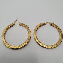 Load image into Gallery viewer, 18K GOLD PLATED STAINLESS STEEL HOOP EARRINGS