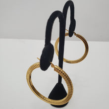 Load image into Gallery viewer, 18K GOLD PLATED STAINLESS STEEL HOOP EARRINGS