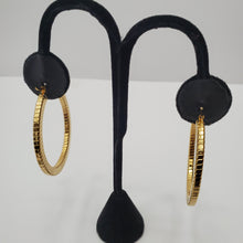 Load image into Gallery viewer, 18K GOLD PLATED STAINLESS STEEL HOOP EARRINGS