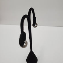 Load image into Gallery viewer, STAINLESS STEEL SLIVER HUGGIE HOOP EARRINGS