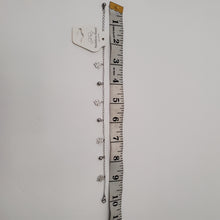 Load image into Gallery viewer, STAINLESS STEEL SLIVER  ANKLET