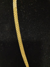 Load image into Gallery viewer, 18K Gold Plated Wider 24"Carpet Necklace