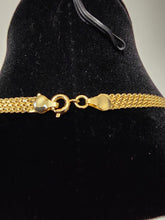 Load image into Gallery viewer, 18K Gold Plated Wider 24"Carpet Necklace